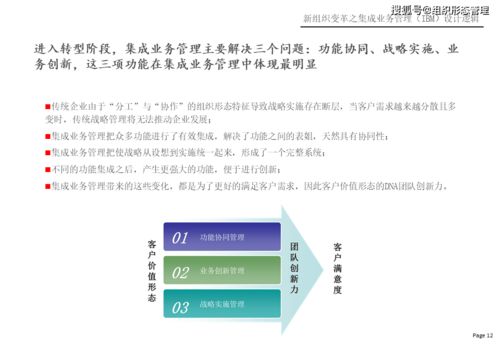 杨少杰 2021年信息系统集成服务与集成业务管理系统设计逻辑
